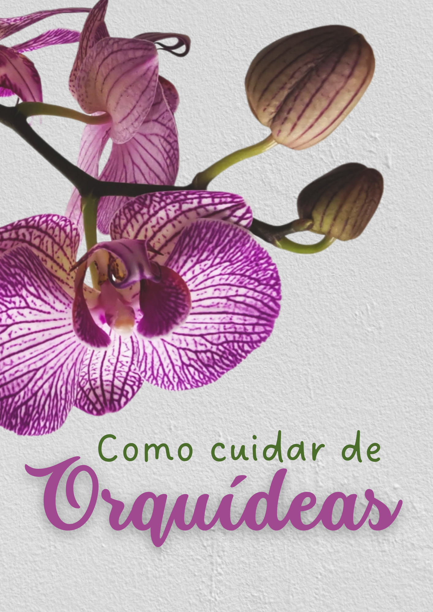 O passa tempo que floresce no seu bolso!