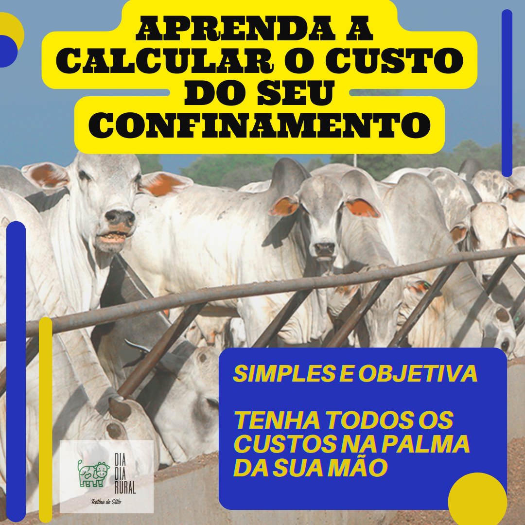 Planilha de custos para confinamento