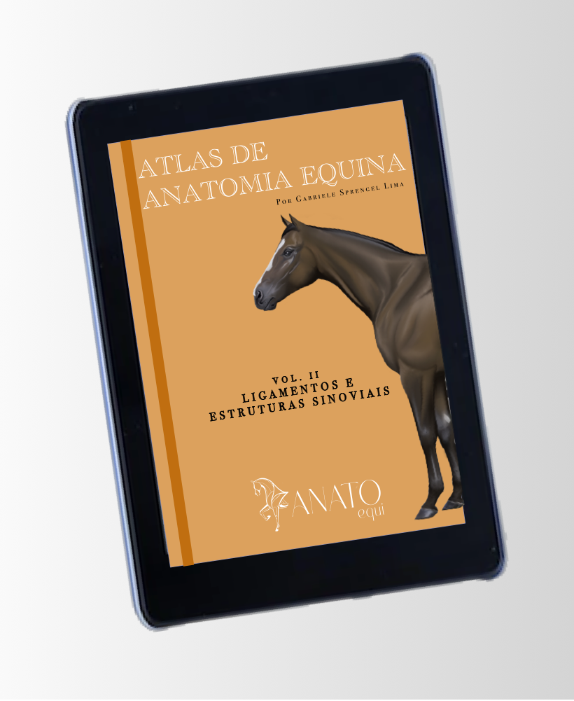 ATLAS ANATOMIA EQUINA VOL II