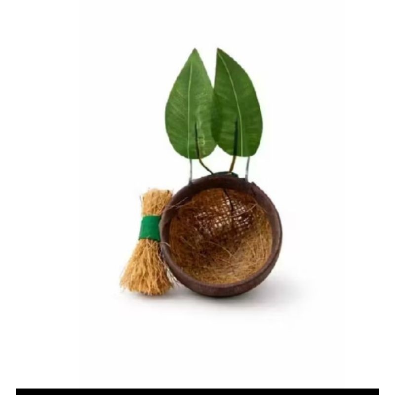 ninho mato natural para coleiro conforto e design natural com fibra de côco e folhas artificiais .