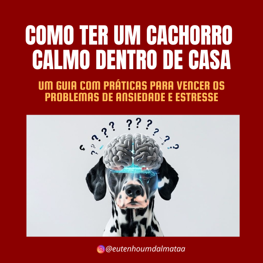 COMO TER UM CACHORRO CALMO DENTRO DE CASA