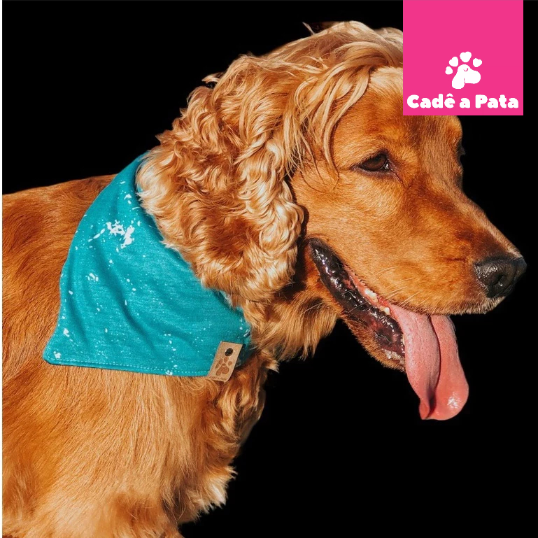 Bandana pet dupla face para cachorro