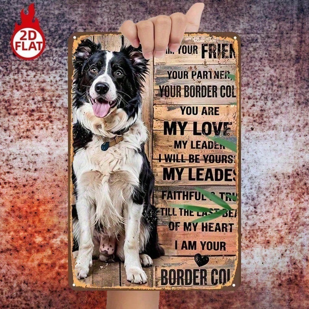 CIFbuy Border Collie Metal Tin Sign Dog Lover Gift Decoração De Parede