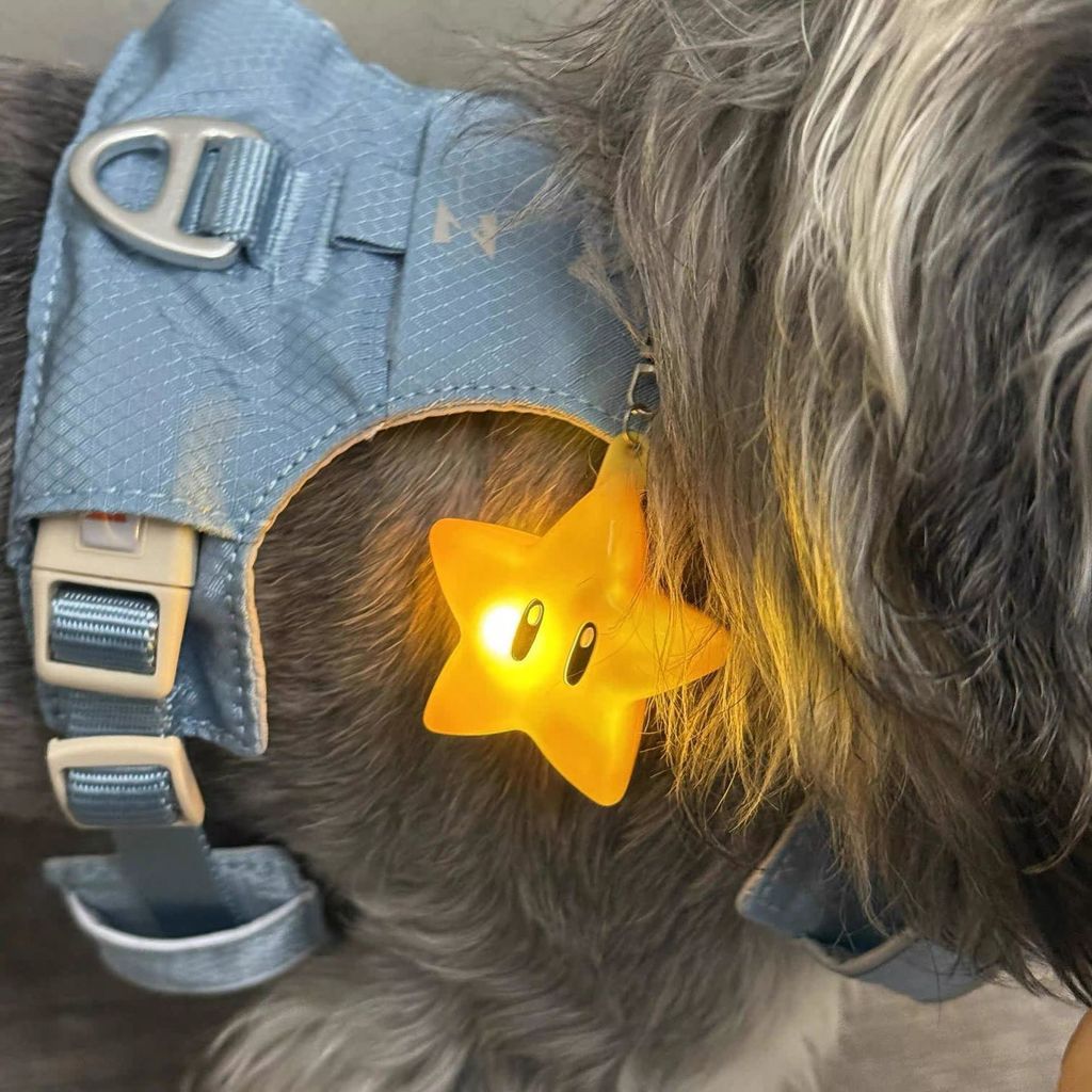 |Coleira luminosa para cães filhotes e gatos luz LED noturna pingente anti perda para passeio