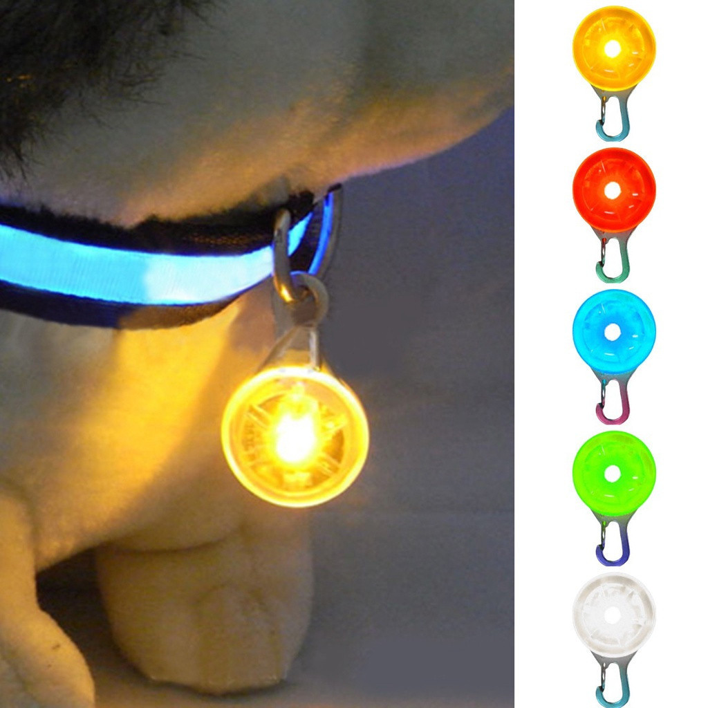Coleira LED para Cães com Luz Piscante, Pingente de Segurança para Passeios Noturnos