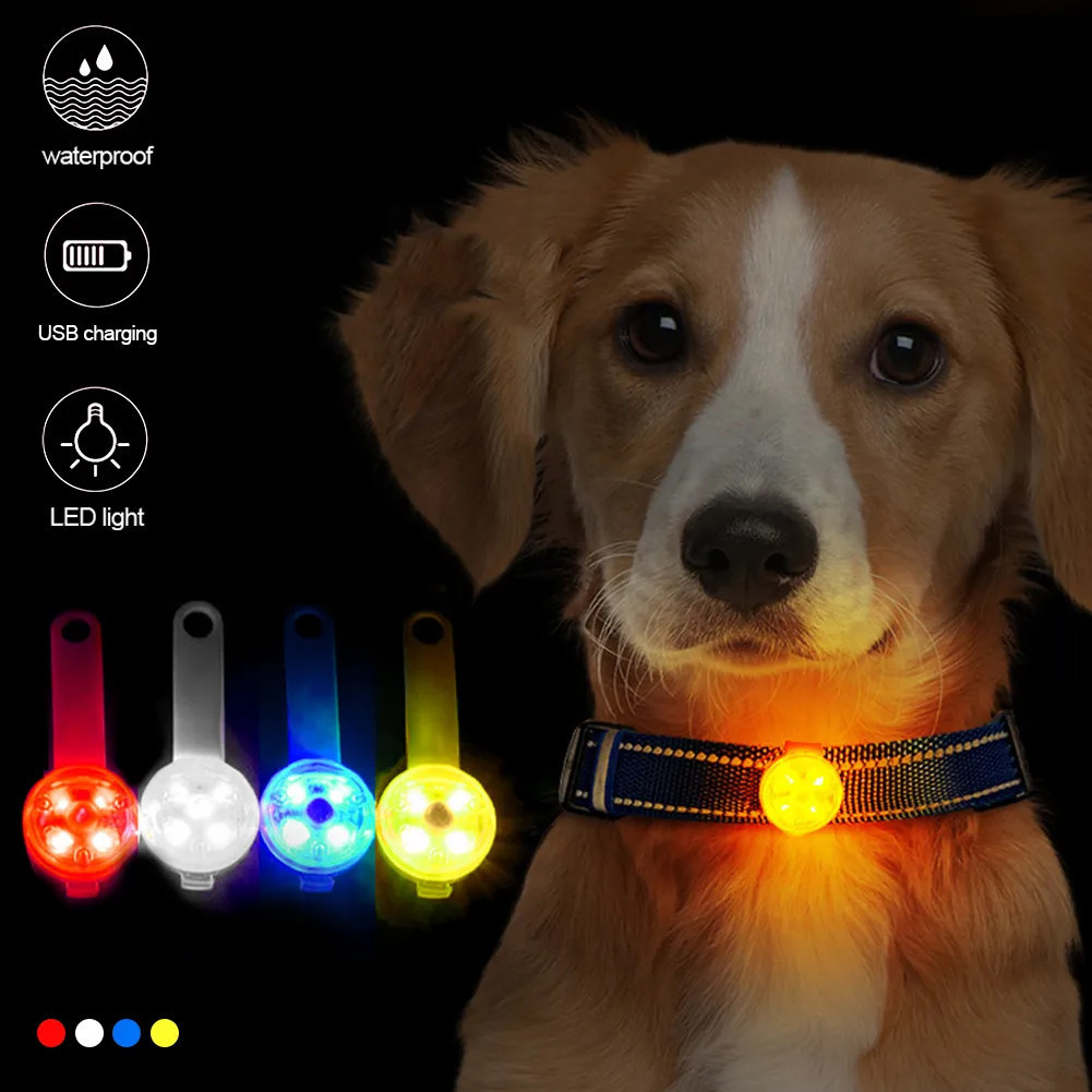 Coleiras para Cães com Pingente Anti-Perda, Luz LED de Segurança à Prova d'Água, Recarregável por USB, para Cães, Gatos