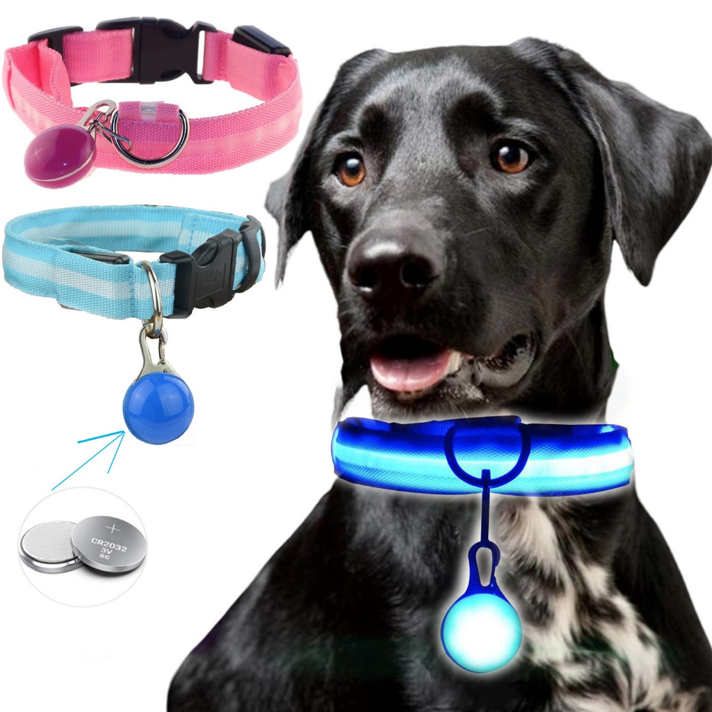 Coleira De Cachorro Brilhante Com Carregamento Usb Pingente De Bateria Luz Led Removível Para Filhote Grande Noturna Dec