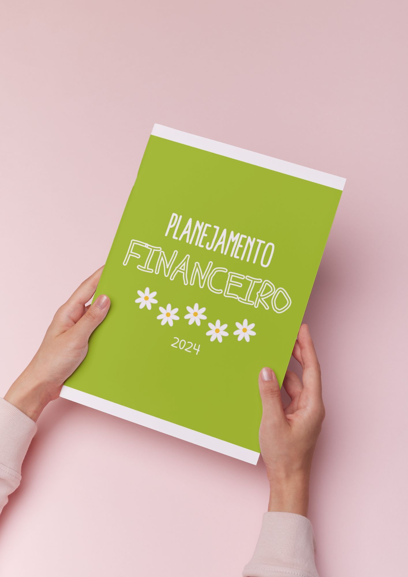 Planner Financeiro 2024