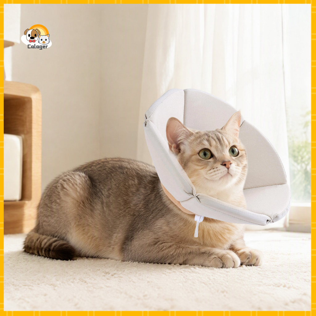 Waterproof Cat E Collar Adjustable Soft Sponge Flower Cone Elizabethan Anti-lick Recovery for Cats Post Surgery Comforta