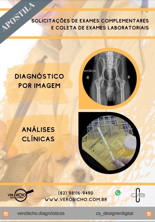 Guia ilustrado para orientações básicas em Solicitações de Exames Complementares e Coleta de Exames Laboratoriais