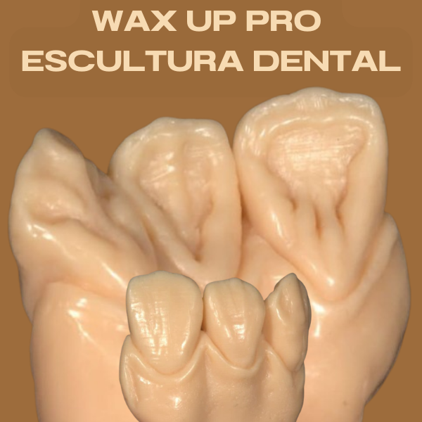 WAX UP PRO - ESCULTURA DENTAL