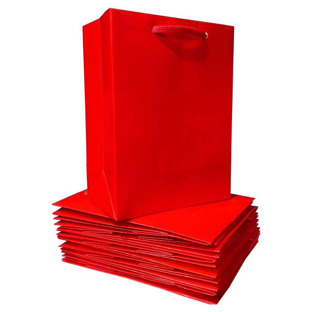 Sacola de Papel Duplex 21x27x10 com 10 unidades S3