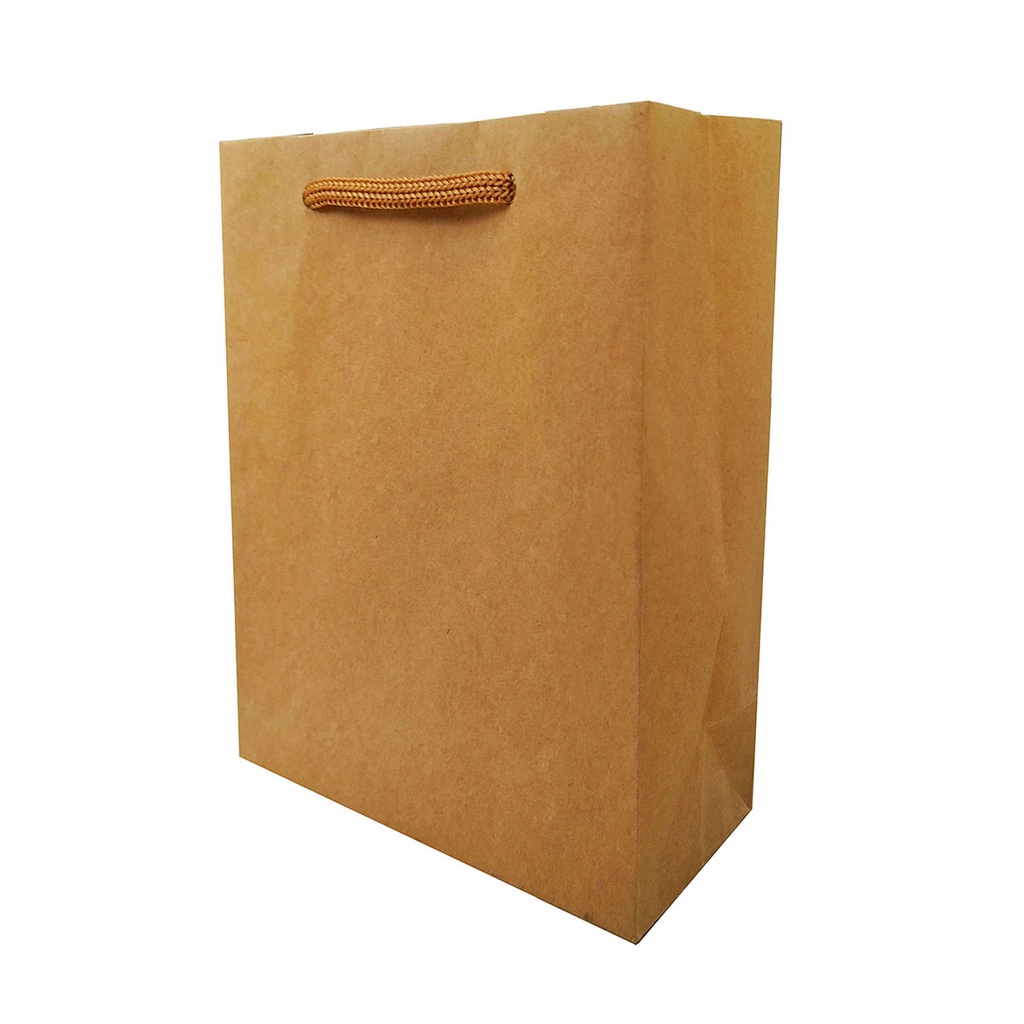 Sacola De Papel Duplex Kraft 21x27x10 C/ 10 Unidades S3