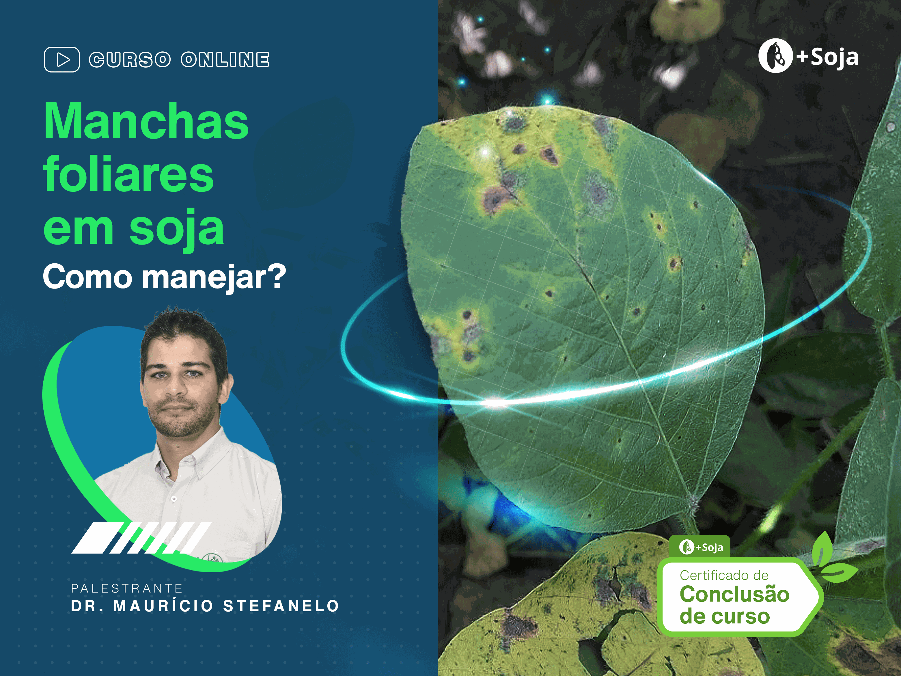 Manchas foliares em soja: como manejar?