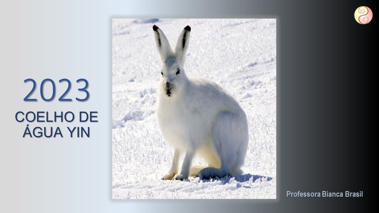 2023: Ano do Coelho de Água Yin