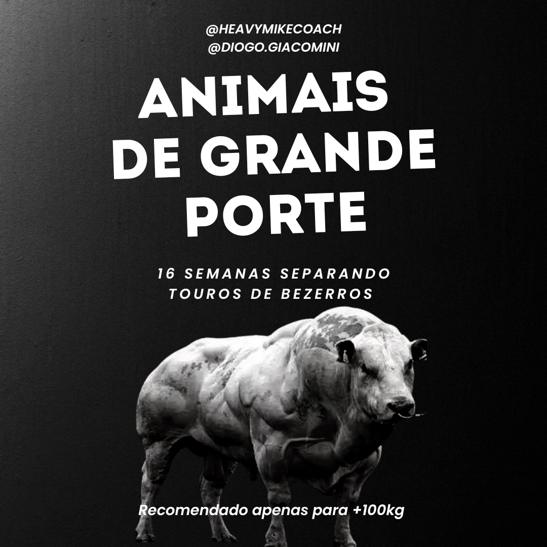 ANIMAIS DE GRANDE PORTE - 16 SEMANAS DE TREINAMENTO - (+100kg)
