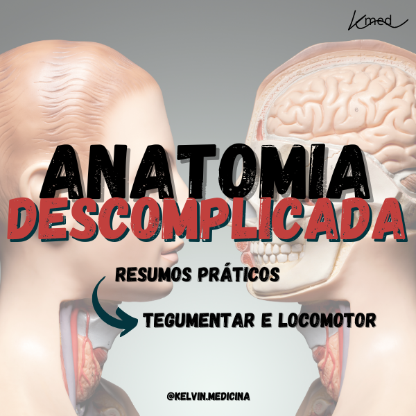 Descomplicando a Anatomia: Aprenda ou Revise com Resumos Práticos