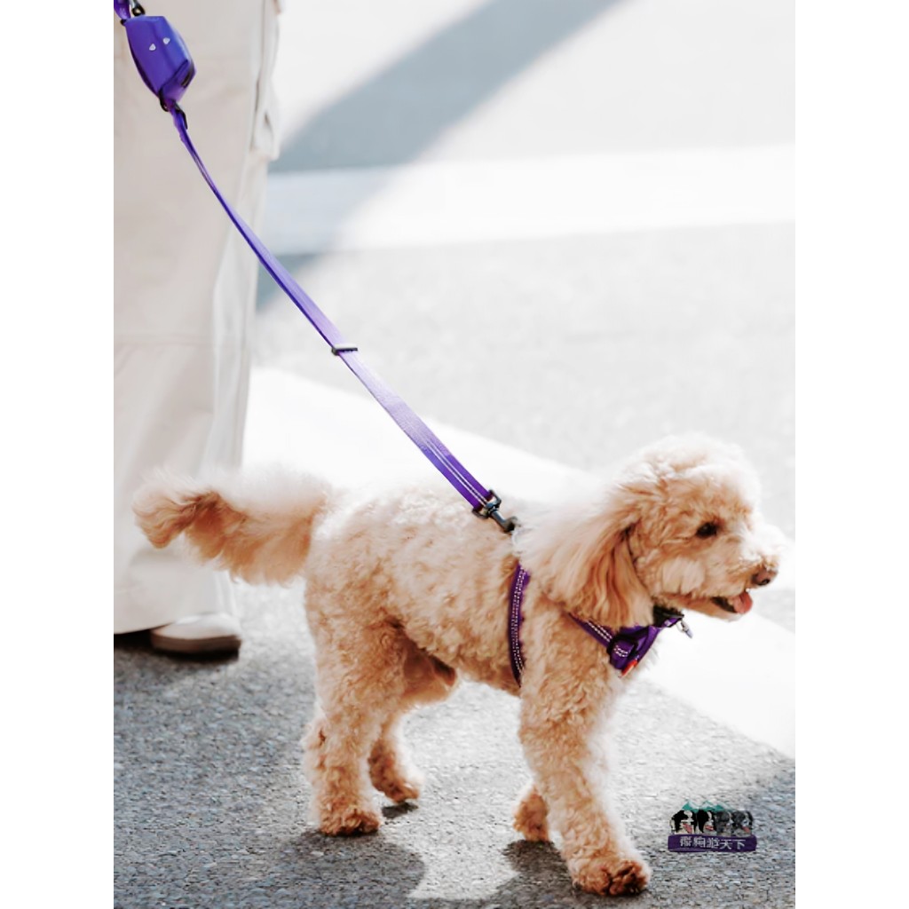 Austrália EZYDOG Novo produto Yiji Dog Essential Outdoor Series Dog Trela ajustável de vários tamanhos