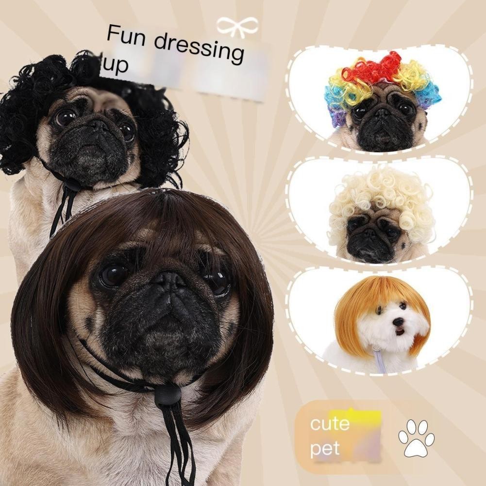 Perucas Cosplay Cachorro Gato Cross-Dressing Conjunto De Pêlos De Halloween Acessórios De Roupas Para Cães De Estimação