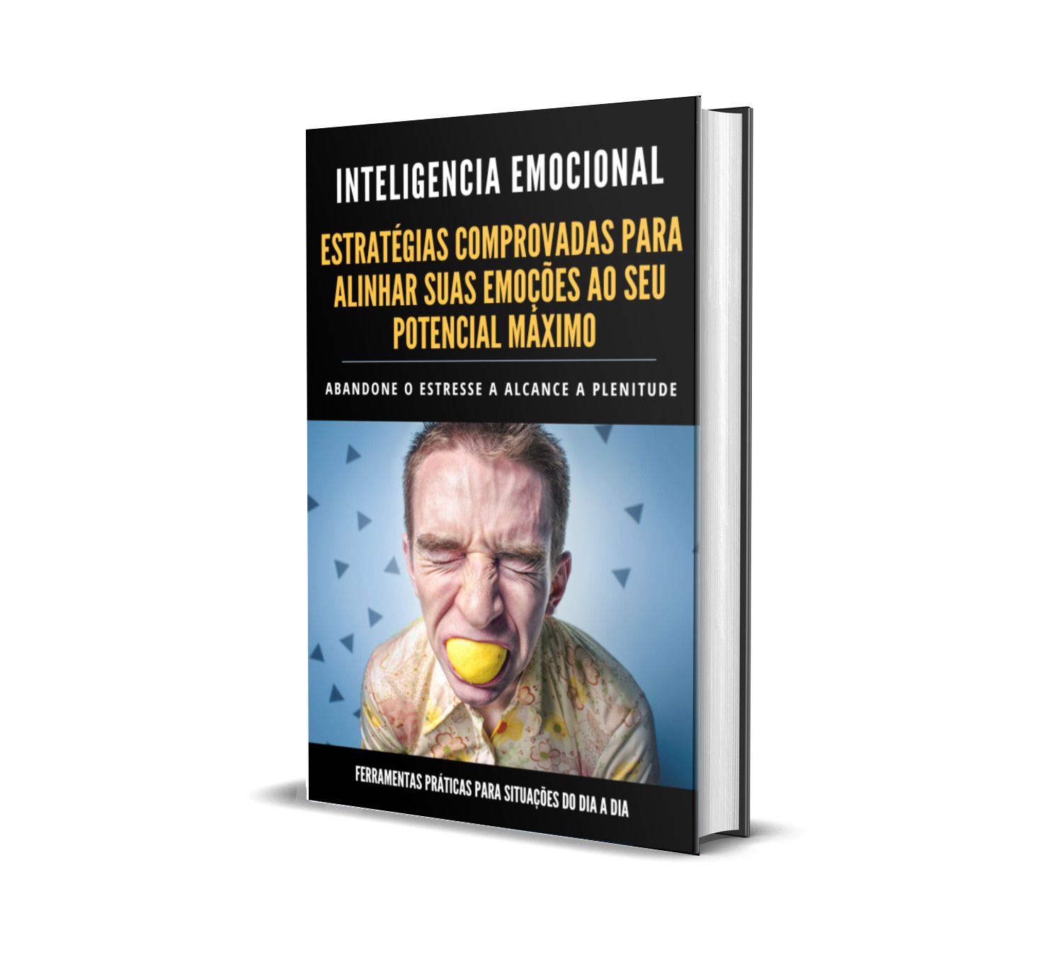 O CAMINHO PARA A INTELIGÊNCIA EMOCIONAL