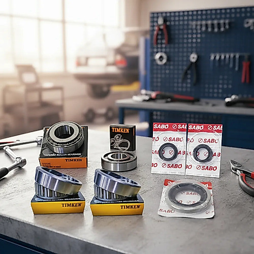 Kit Rolamentos E Retentores Diferencial Braseixos 405 D20
