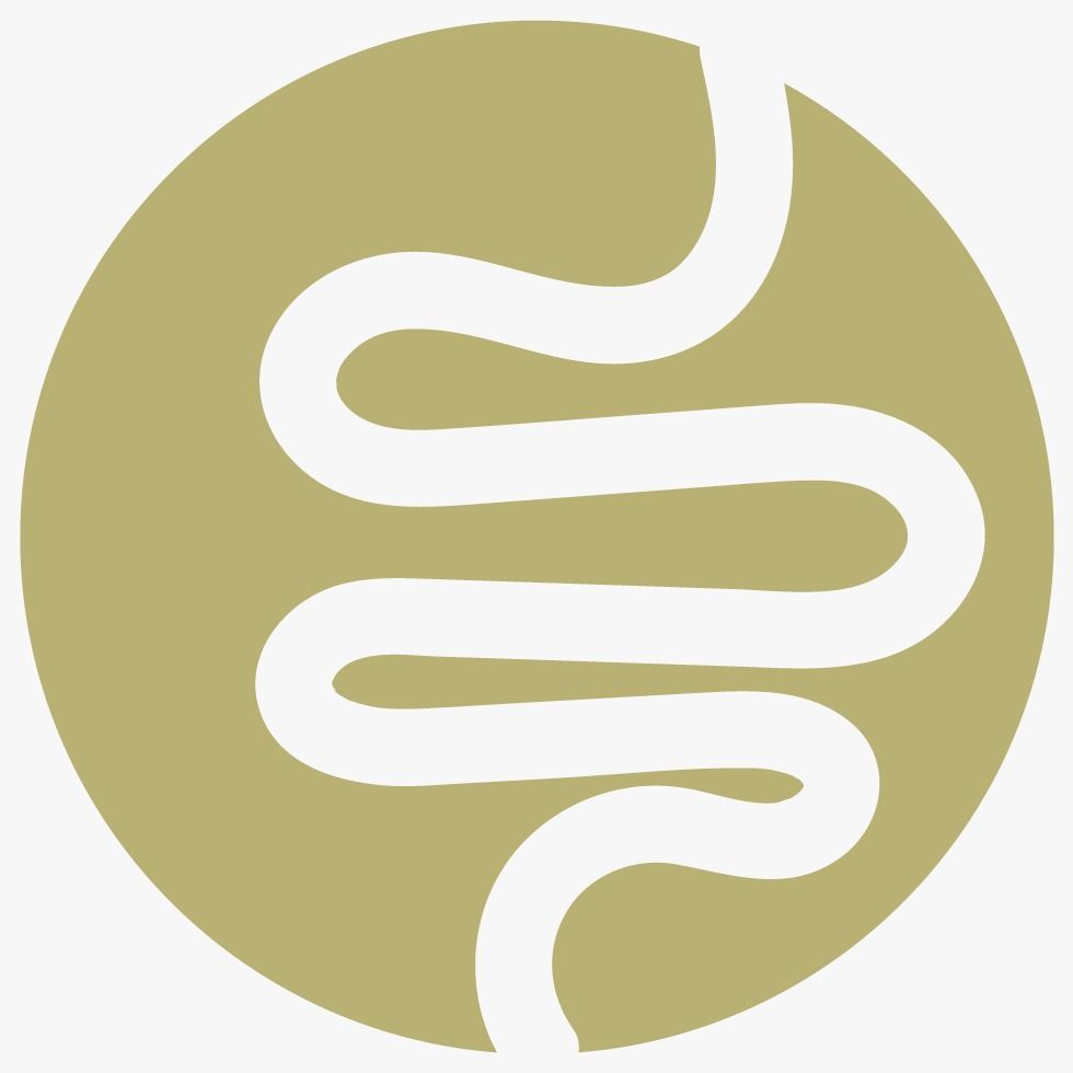 Seja Leve em 15 Dias