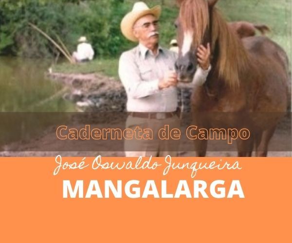 Mangalarga JO livro do criador