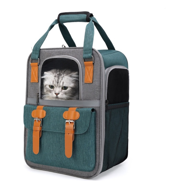 0-10 KG Cat Pet Carriers Mochila Respirável Para Cães De Malha Dobrável Gatos De Grande Capacidade Viagem