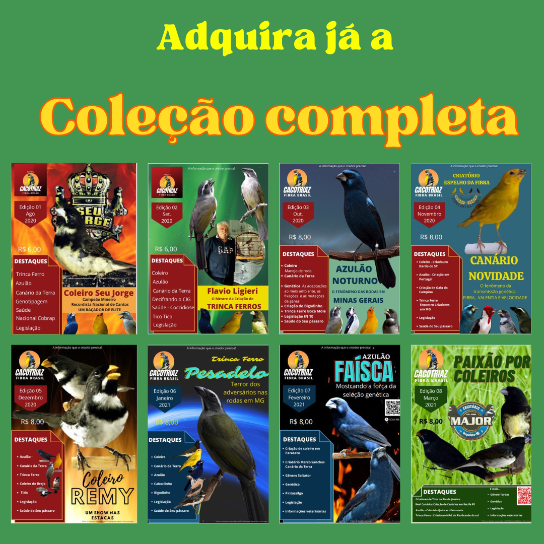 COLEÇÃO REVISTAS FIBRA BRASIL