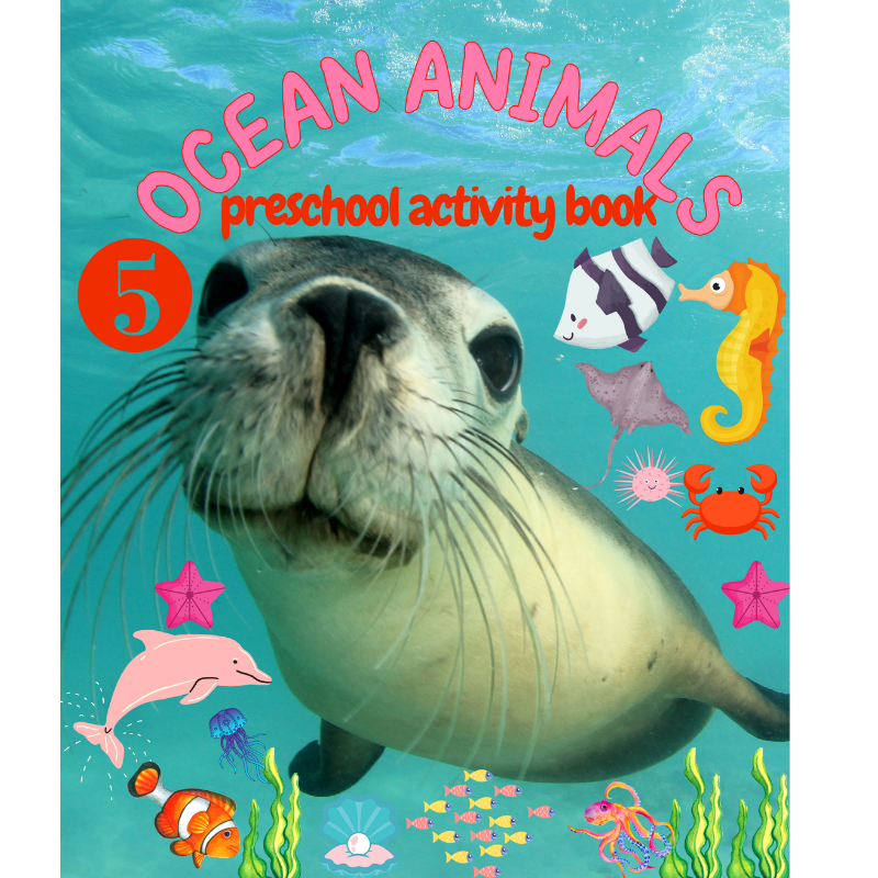 OCEAN ANIMALS COLORING AND ACTIVITY BOOK FOR KIDS (Preschool Activity Book) #5 Sea Lions.