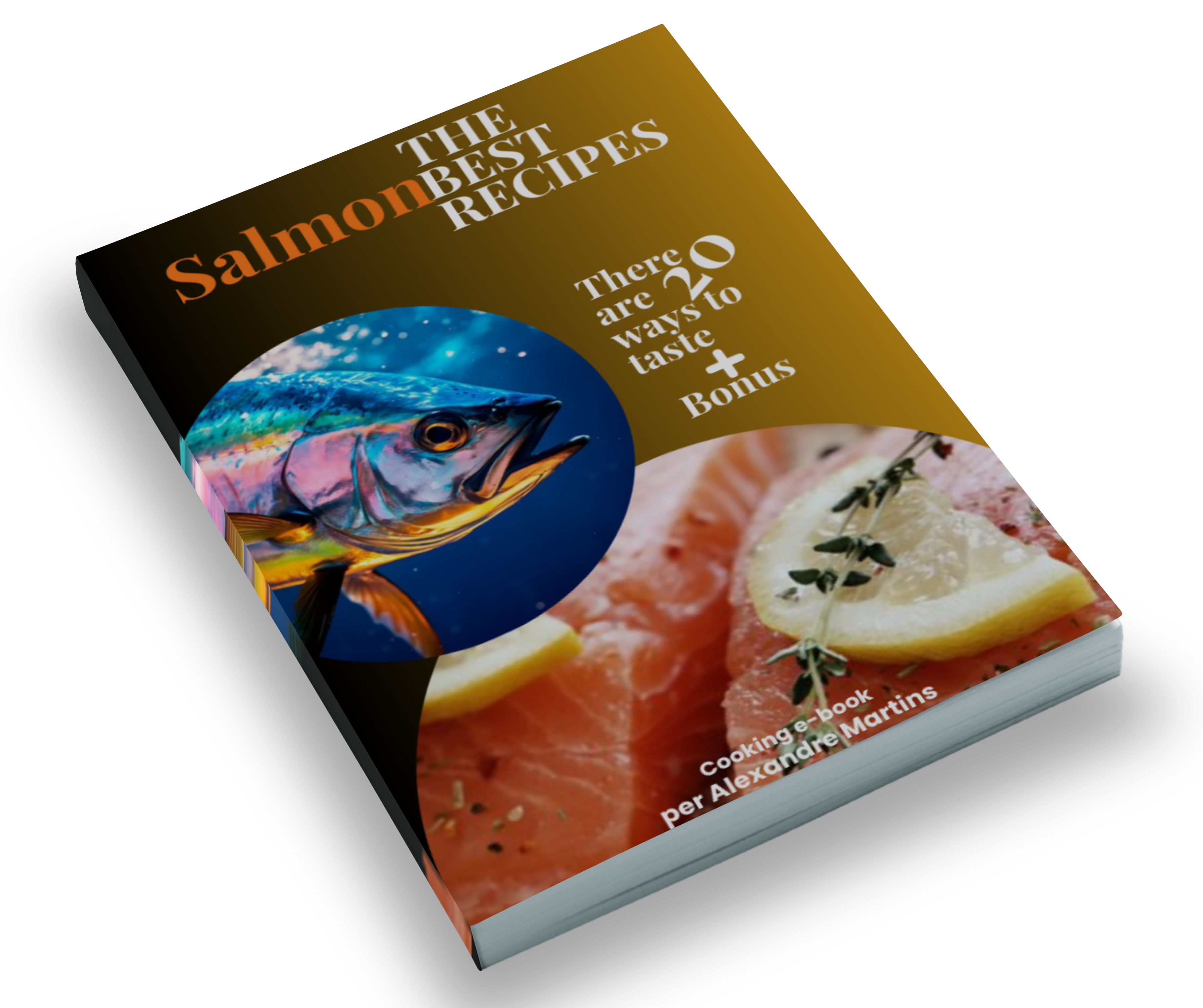 SALMON - THE BEST RECIPES