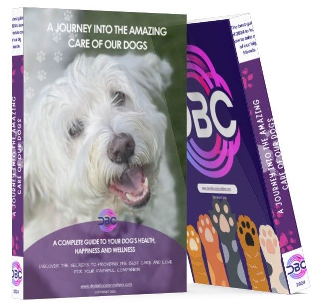 A journey into the amazing care of our dogs