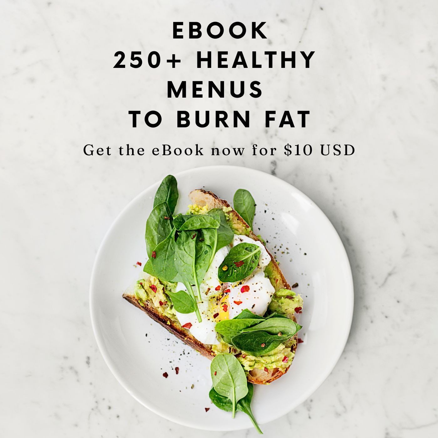 250+ Healthy Menus to Burn Fat