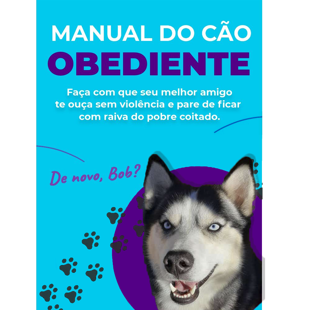 how to train your best friend