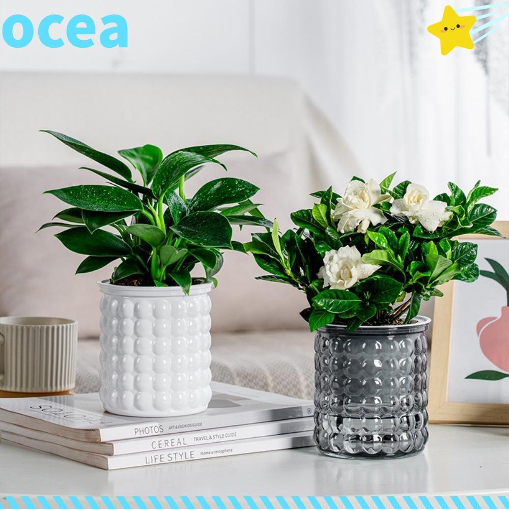Vaso De Plantas Hidropônicas OCEA , Flores Removível De Plástico , Mini Mesa Para Plantador Suculento Com Rega Automátic