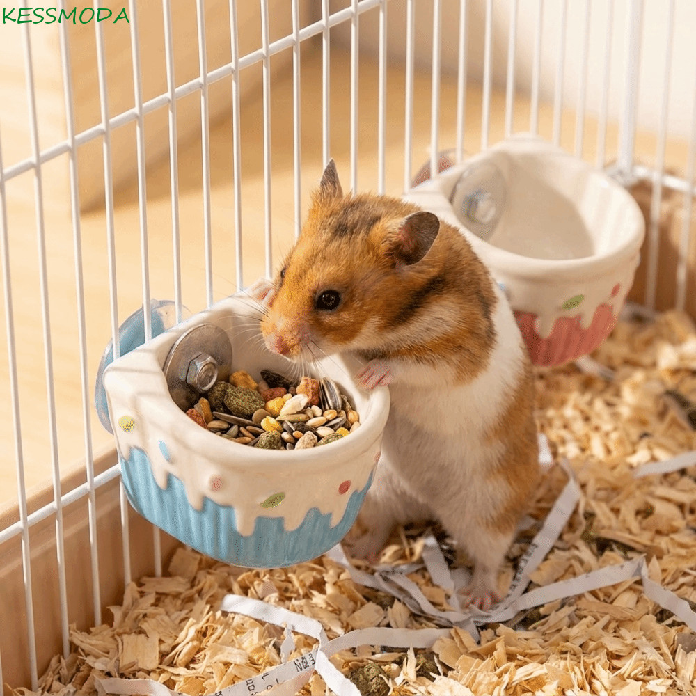 Tigela De Comida Pendurável , Fácil De Limpar , De Hamster De Cerâmica De Grande Capacidade , Mini Alimentador Automátic
