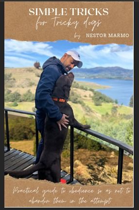 Simple tricks for tricky dogs