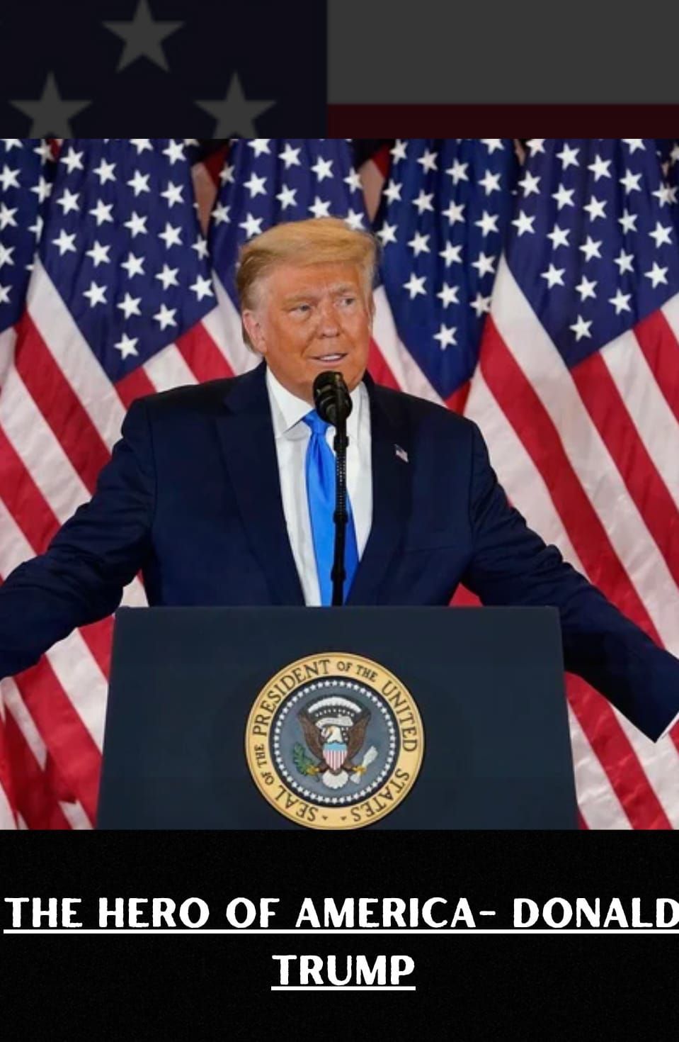 THE HERO OF AMERICA- DONALD TRUMP