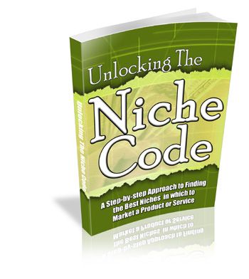 UNLOCKING THE NICHE CODE