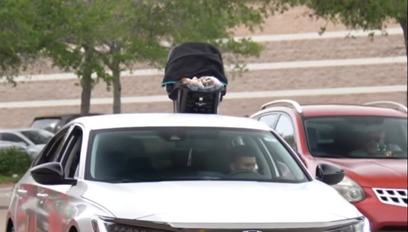 ???? Care when Transporting Newborns