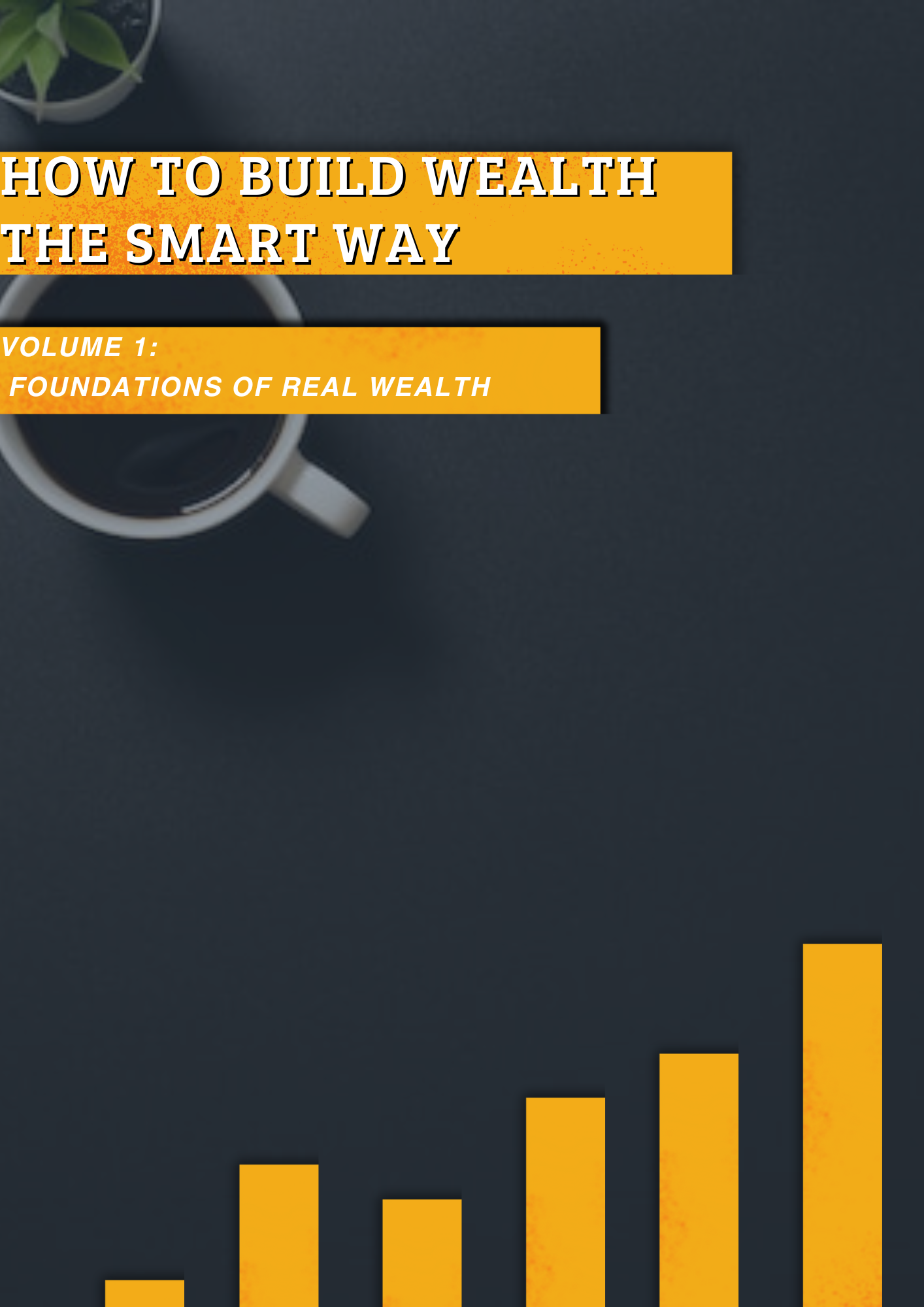 How to build real wealth smart way. Volume:1