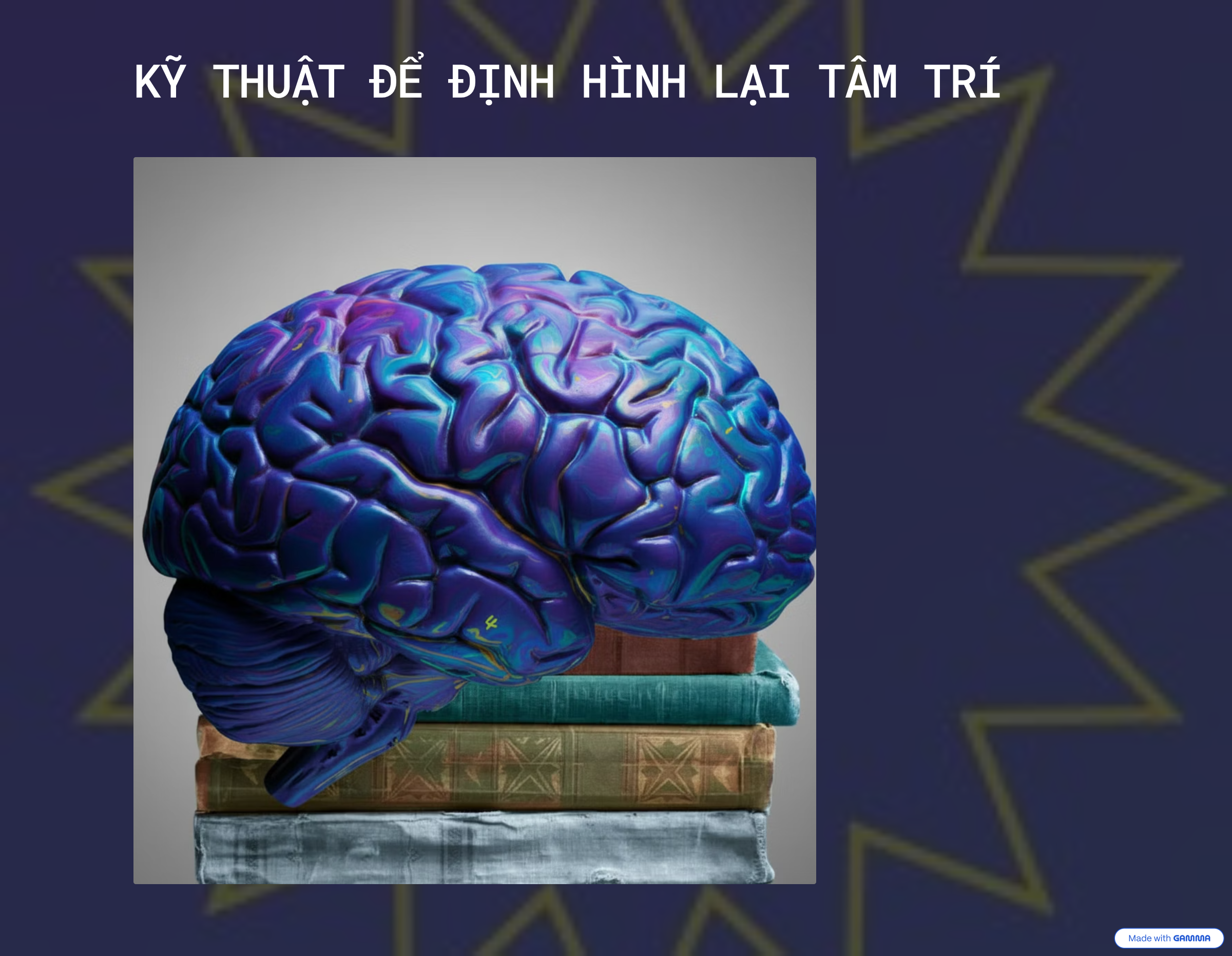 KỸ THUẬT ĐỂ ĐỊNH HÌNH LẠI TÂM TRÍ