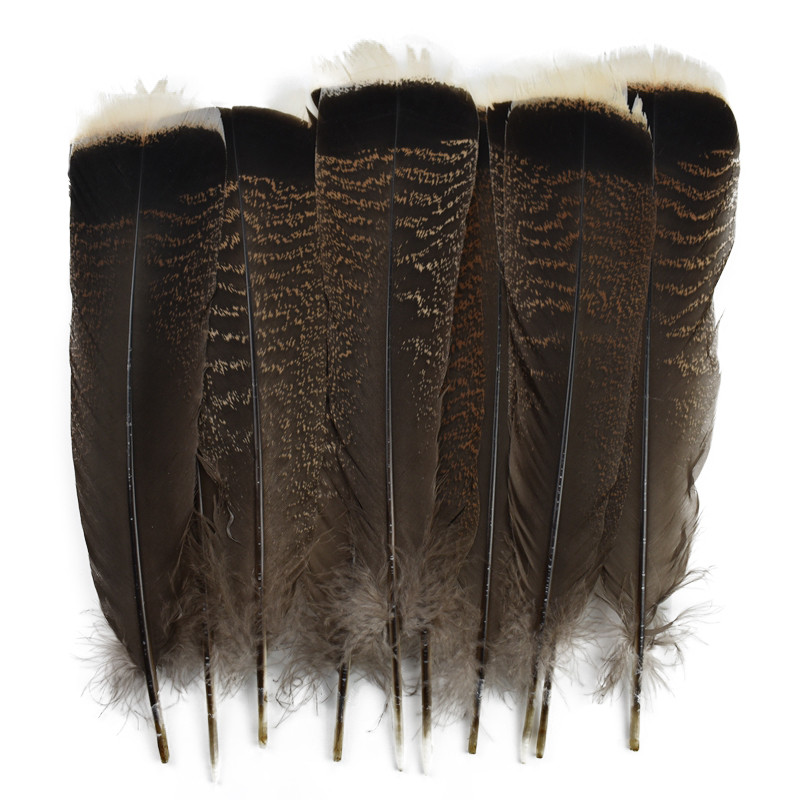 10 Pçs/Lote Penas De Peru Naturais Para Artesanato 25-30cm 10-12 