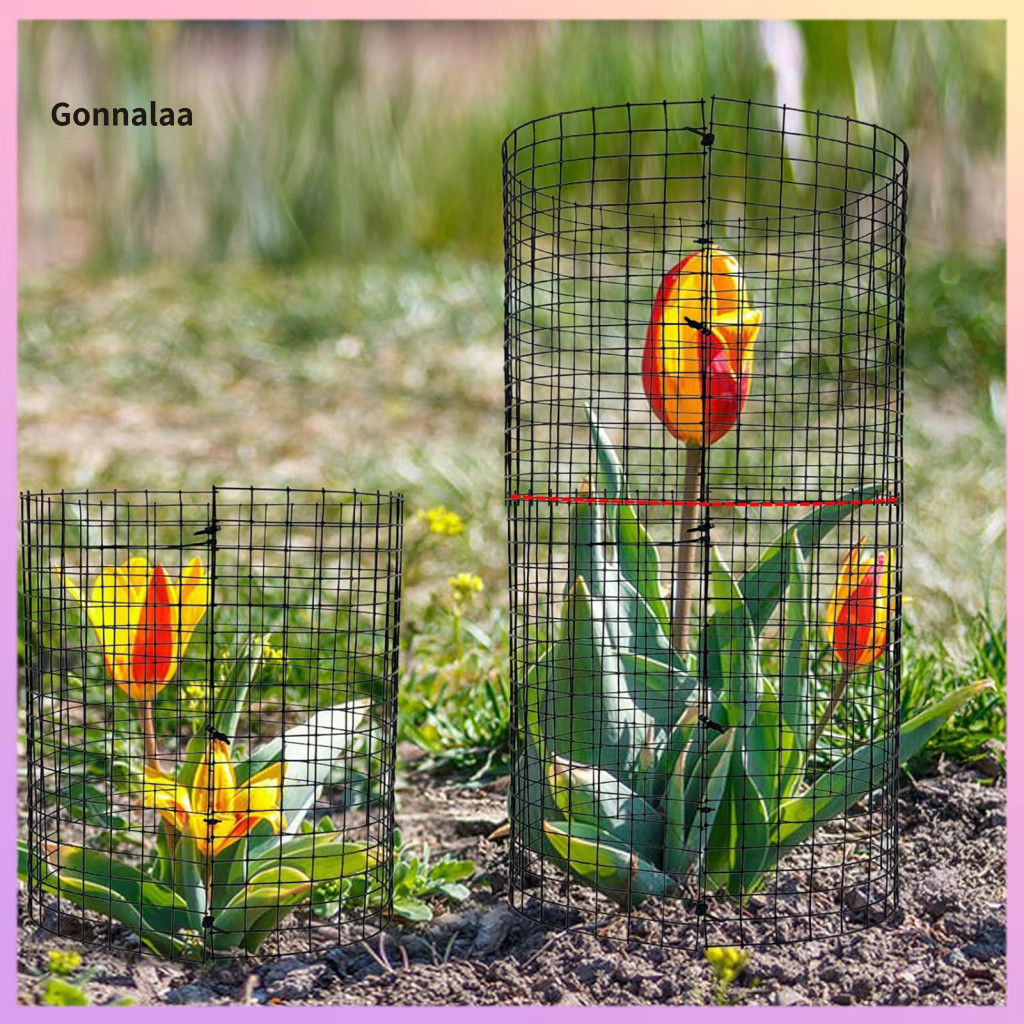 Durable Metal Plant Protector Cage with Wire Mesh Panels Stakes Zip Ties – Protect Vegetables Flowers Saplings from Ch