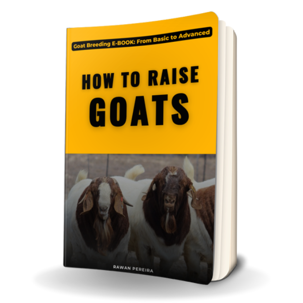 Goat Breeding: Everything You Need to Know to Get Started