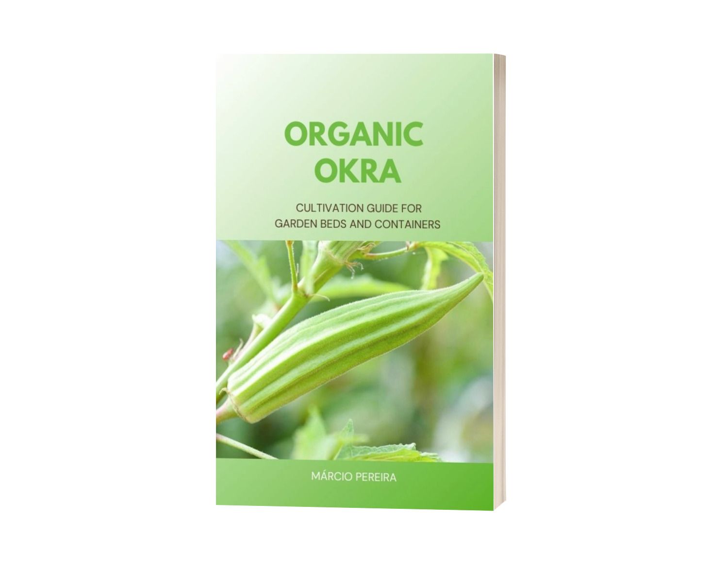 Organic Okra