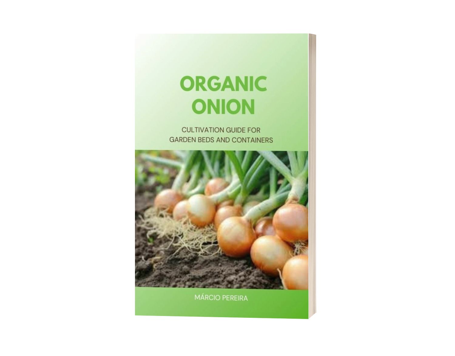Organic Onion