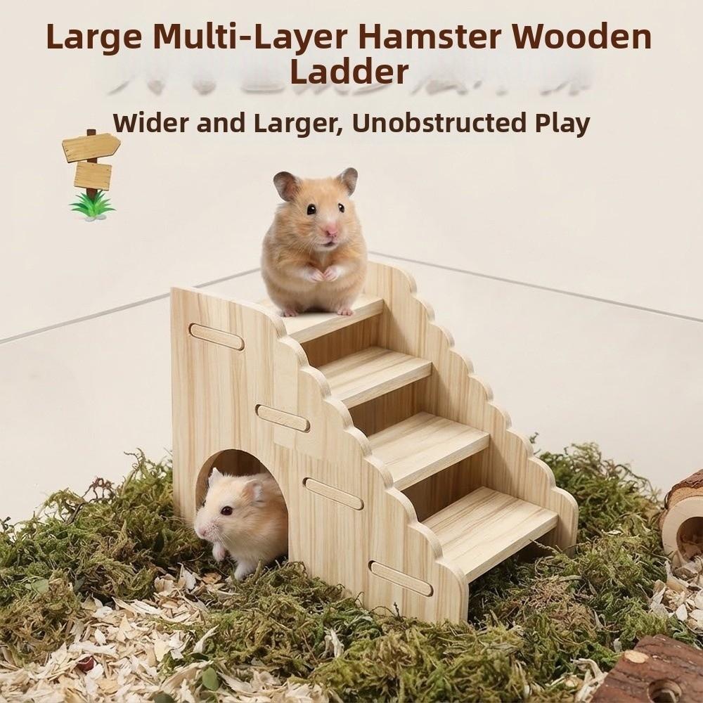 Escada De Escalada Para Hamster , Casa Removível De Esconderijo De Múltiplas Camadas , Alivia O Tédio , Habitat De Mouse