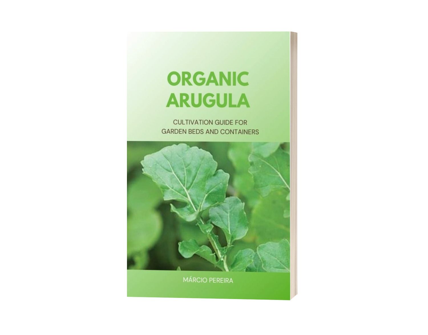 Organic Arugula