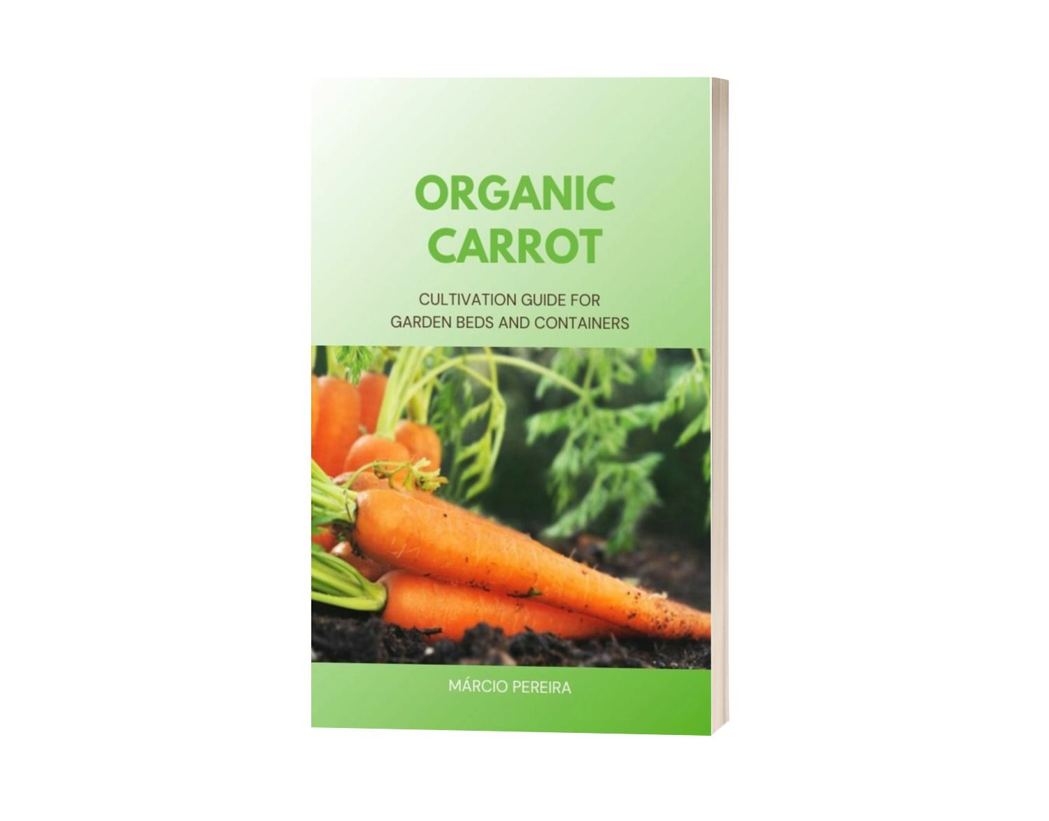 Organic Carrot
